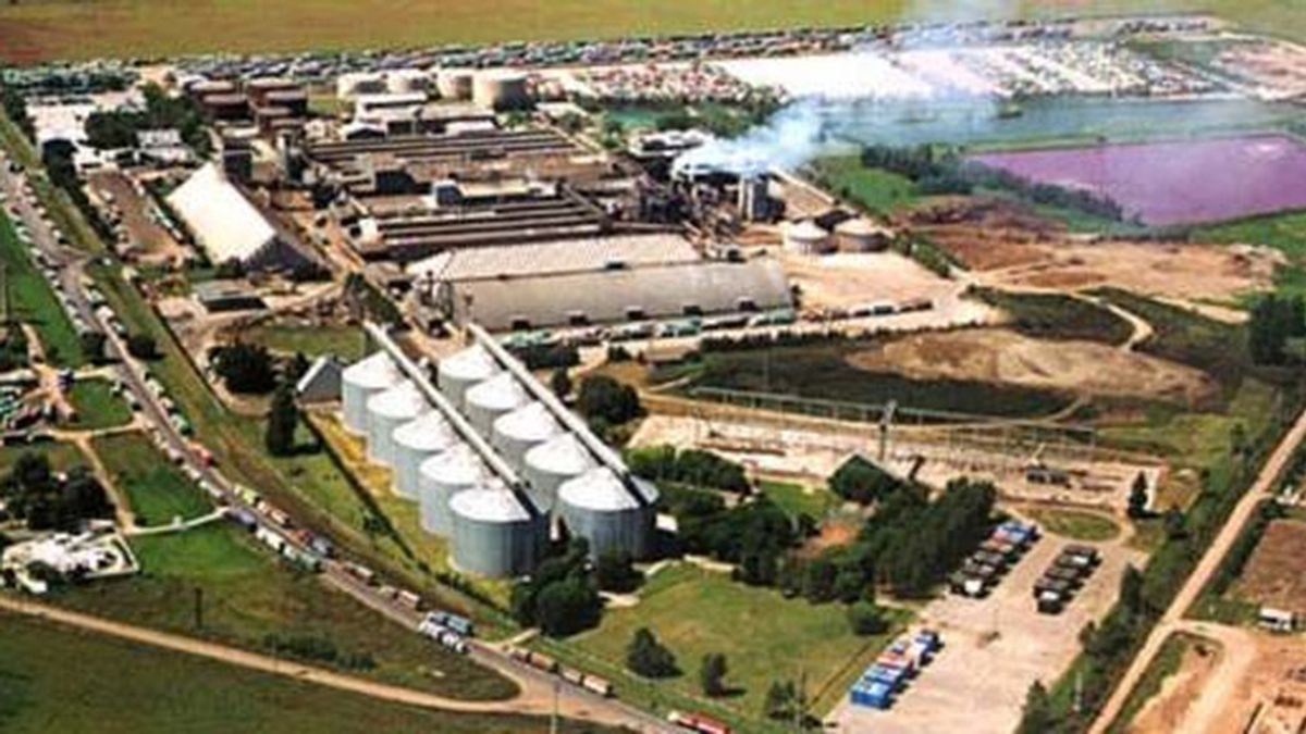 An investment group bought Vicentin’s debt with international banks and seeks to define the future of the company
