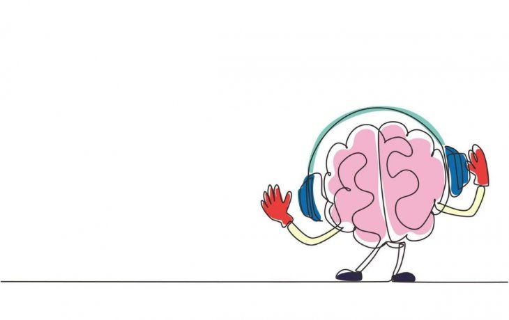 Cerebro.