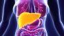 Experts point out that a food with healthy fruits, vegetables and fats is key to preventing fat development Experts point out that a food with healthy fruits, vegetables and fats is key to preventing fat development