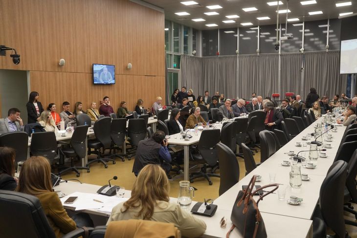 Martha Pelloni, religiosa de la Congregación de Carmelitas Misioneras, hablando durante el plenario que busca tipificar penalmente la compra y venta de niñas, niños y adolescentes. Martha Pelloni, religiosa de la Congregación de Carmelitas Misioneras, hablando durante el plenario que busca tipificar penalmente la compra y venta de niñas, niños y adolescentes.