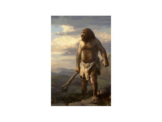 Humanos modernos y hombre de Neandertal llegaron a convivir