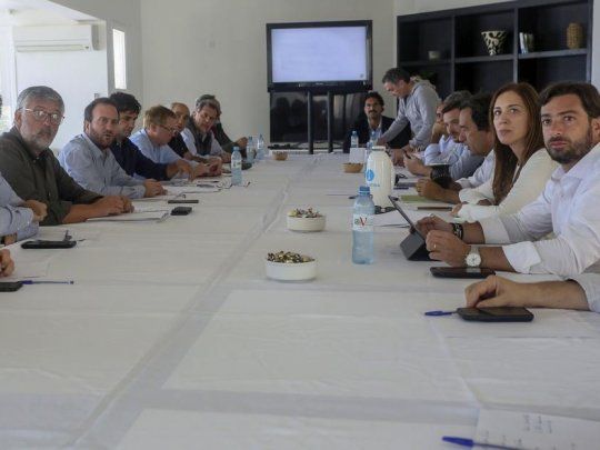 La gobernadora Vidal junto a su Gabiente.