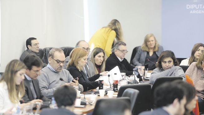 Definiciones. La diputada macrista Silvia Lospennato explicó el dictamen, aunque fueron más contundentes otras legisladoras. El peronista con témpera PRO Emilio Monzó fue artífice de la conexión con el interbloque federal y otras bancadas provinciales. Con el debate levantó un poco el perfil el último ministro del Interior del cristinismo y hoy opositor, Florencio Randazzo.