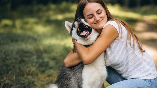 Iniciativa que promete bienestar animal