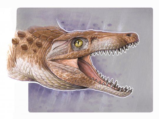 Así se veía el Burkesuchus mallingrandensis.&nbsp;