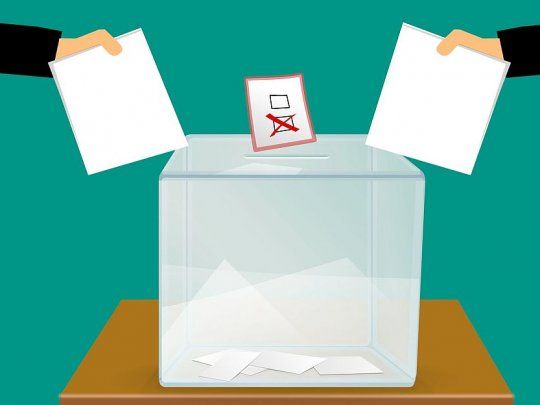 voto economico.jpg