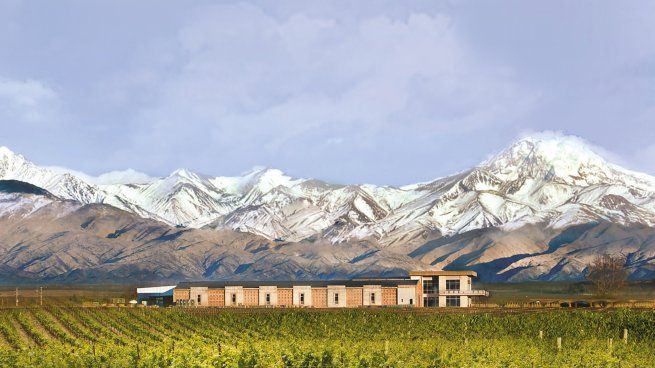 Domaine Bousquet, al pie de la Cordillera en el Valle de Uco, pioneros en vinos sustentables.