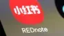 Qué es RedNote, la aplicación China que promete superar a Instagram y Tiktok