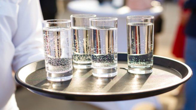 Harvard descubrió que hay otras dos bebidas igual de sanas que el agua.