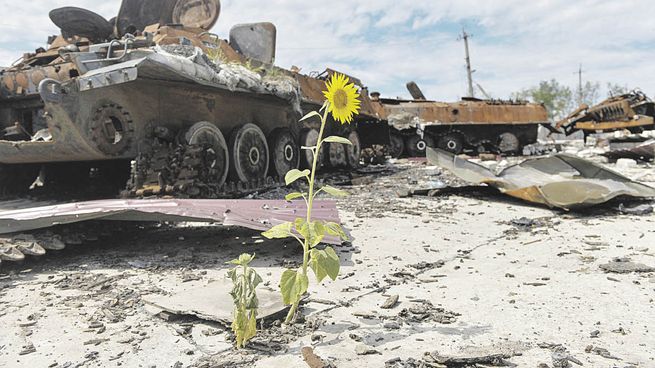 COSTOS. Rusia refuerza su avance en territorio ucraniano, pero no puede evitar la pérdida de valioso material militar ni pérdidas de vidas entre sus fuerzas.