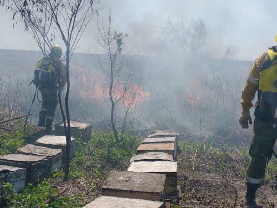 Reportan incendios forestales en Tucumán, Catamarca, Córdoba, San Luis, La Rioja, Jujuy y Salta.