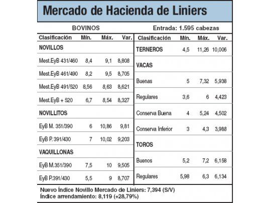 Alzas del 1% en novillos