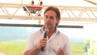 En un documento de 15 páginas titulado “Construir sin Destruir”, la oposición cuestiona subas impositivas, debilitamiento de la regla fiscal, sobrecostos en combustibles y señales de desaceleración económica. En un documento de 15 páginas titulado “Construir sin Destruir”, la oposición cuestiona subas impositivas, debilitamiento de la regla fiscal, sobrecostos en combustibles y señales de desaceleración económica.