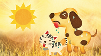 las mascotas pueden sufrir golpes de calor ¿como prevenirlos?