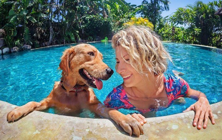 Cuidar a los perros en verano es clave.&nbsp;