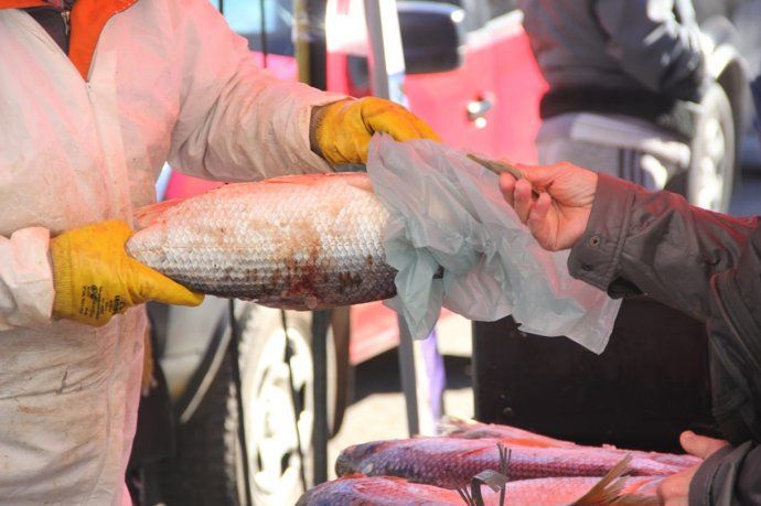 Pescadazo Frente al Congreso 11-08-2021