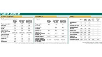 Producir novillo a campo es un 40% más barato que en feedlot