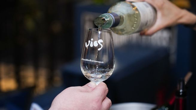 La producción de vinos orgánicos y sustentables es un fenómeno que se extiende en la industria vitivinícola nacional.
