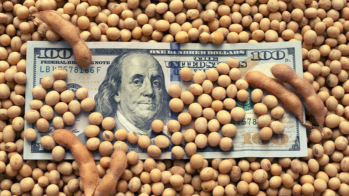 sales accumulate for almost 6 thousand tons of soybeans