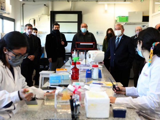 Argenvac, la vacuna platense contra el Covid-19, se encuentra en etapas preclínicas.&nbsp;