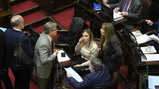 Senadores del peronismo y del radicalismo.