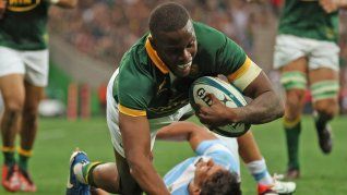 Los Pumas cayeron 48 a 7 contra Sudáfrica..