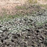El gobierno evalúa el fin de la emergencia, a contramano del pedido del agro. El gobierno evalúa el fin de la emergencia, a contramano del pedido del agro.