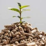 La inversión de la planta ronda los 9,3 millones de dólares. La inversión de la planta ronda los 9,3 millones de dólares.