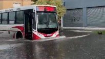 Mar del Plata: fuerte temporal de lluvia y granizo