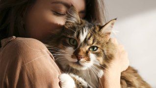 La razón por la que los gatos buscan dormir sobre el pecho de sus dueños.