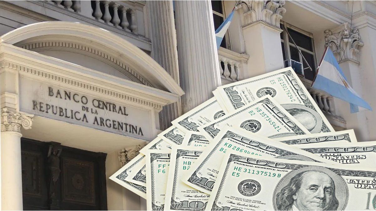 the reform of the financial sector studied by Javier Milei, the furor over the dollar mix and the patience of Luis Caputo