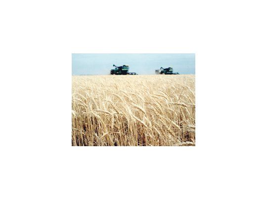 El clima acompañará positivamente a la campaña 2013/14. Razones de mercado favorecieron la rentabilidad de la agricultura argentina, que creció un 7,3% desde 2007, según un informe de la UBA.