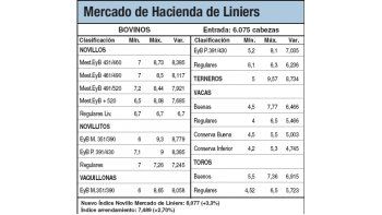 Alzas del 2,5% en los novillitos