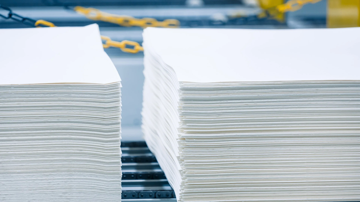 The price of cellulose falls, compromising a key sector for government forecasts