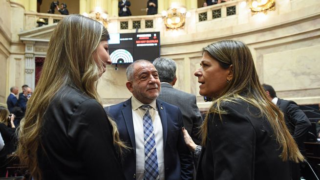 El Senado busca aprobar el pliego de García-Mansilla en comision para despues volterarlo en el recinto.