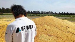 The AFIP seized more than 5,000 tons of grains. The AFIP seized more than 5,000 tons of grains.