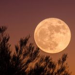 La Luna de Castor genera gran expectativa. La Luna de Castor genera gran expectativa.