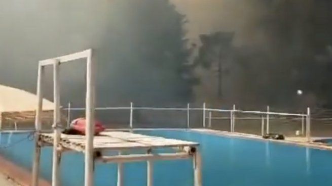 Susto en La Plata tras desatarse un incendio forestal.