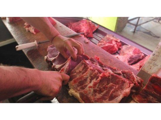 Ulises Forte sostuvo que el precio de la carne se estabilizó