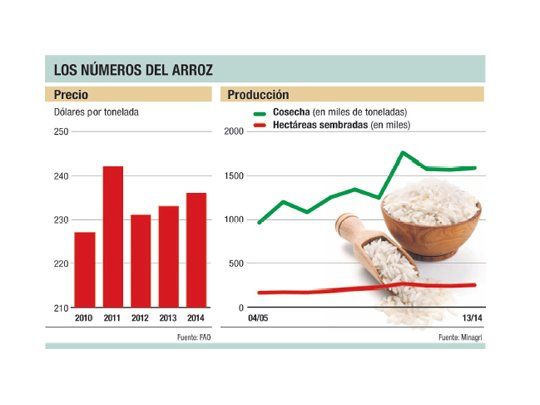 El arroz aún es puro potencial