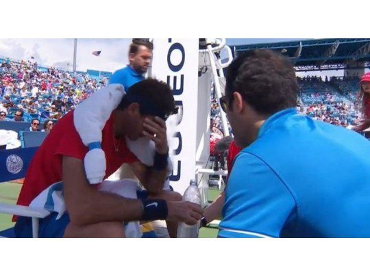 Del Potro cayó ante Dimitrov.