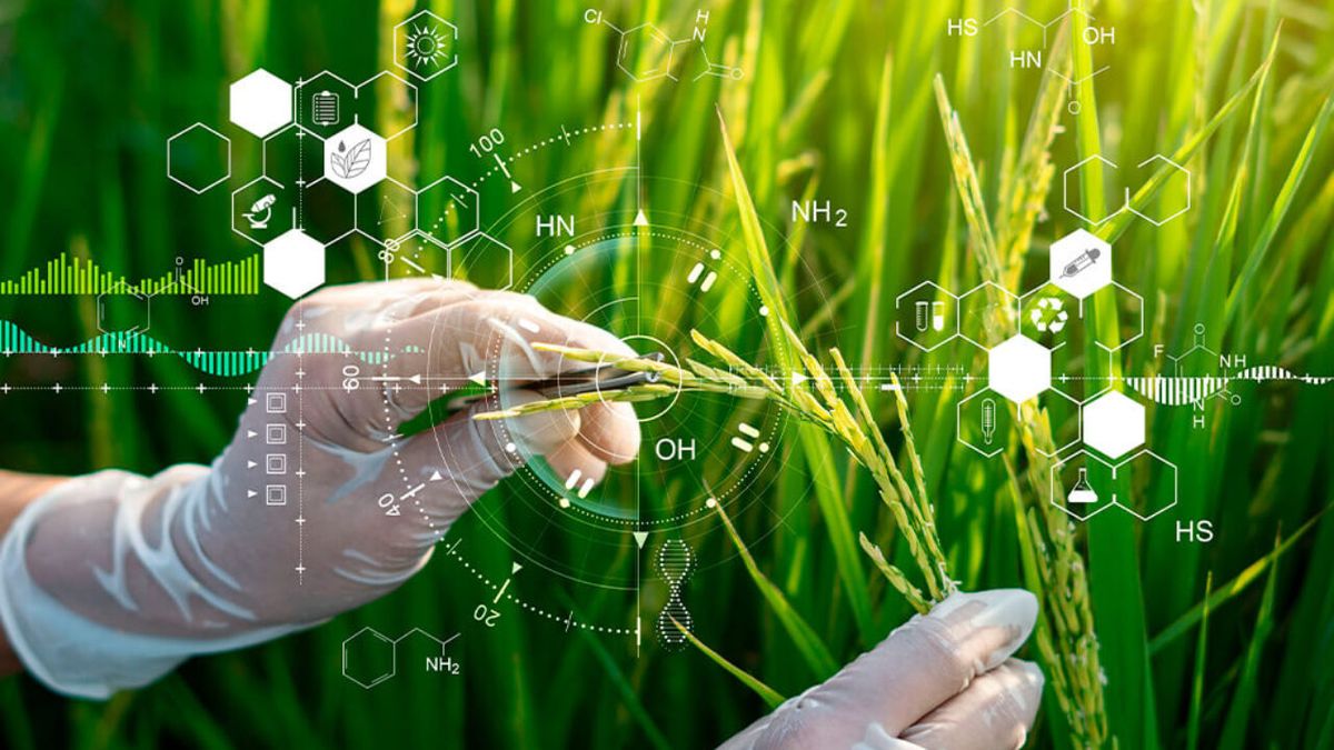 LAB+ Ventures will close its first capital integration in 15 days