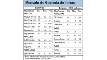 Leve suba del 0,2% en Liniers