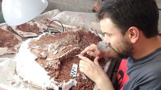 Científicos del CONICET hallaron una nueva especie de dinosaurios. Científicos del CONICET hallaron una nueva especie de dinosaurios.