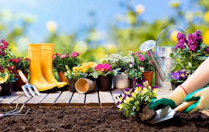ámbito.com | Jardinería 2.jpg
