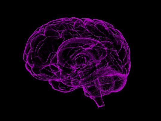 enfermedad cerebral canada 1200.jpg