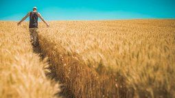 The export levels achieved last year were the lowest since 2011.
