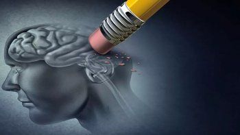 los cientificos de harvard encontraron el secreto para prevenir el alzhaimer
