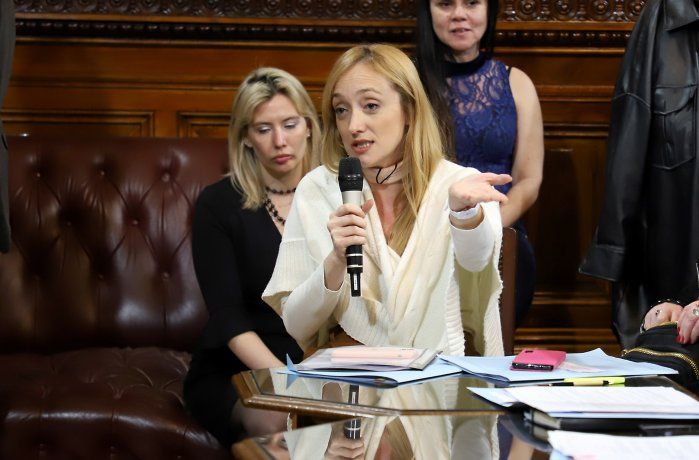 Anabel Fernández Sagasti.