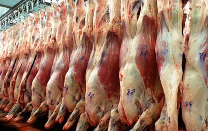 carne: fuertes perdidas y mayores precios